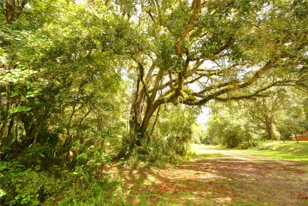 2259 W WILDFLOWER CT, Dunnellon, FL 34434