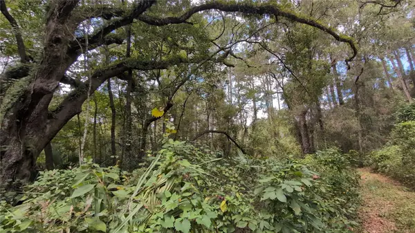 2259 W WILDFLOWER CT, Dunnellon, FL 34434