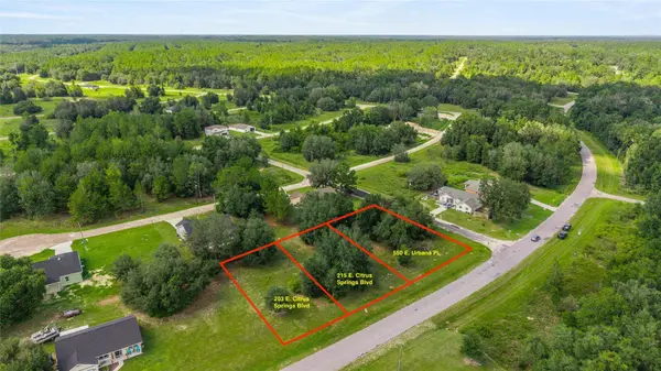 203 & 215 E CITRUS SPRINGS BLVD, Citrus Springs, FL 34434