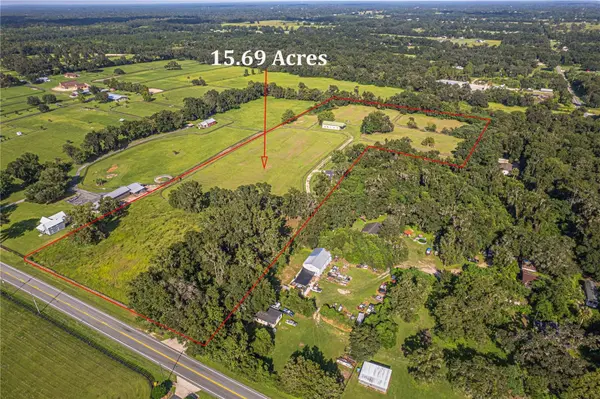12615 NW GAINESVILLE RD, Reddick, FL 32686