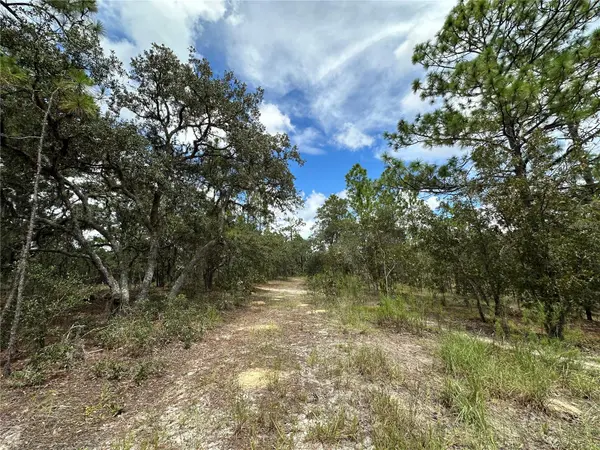 TBD SE 105TH LN, Dunnellon, FL 34431