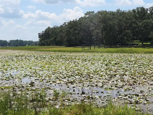 Lot 53 SW SHOREWOOD DR, Dunnellon, FL 34431