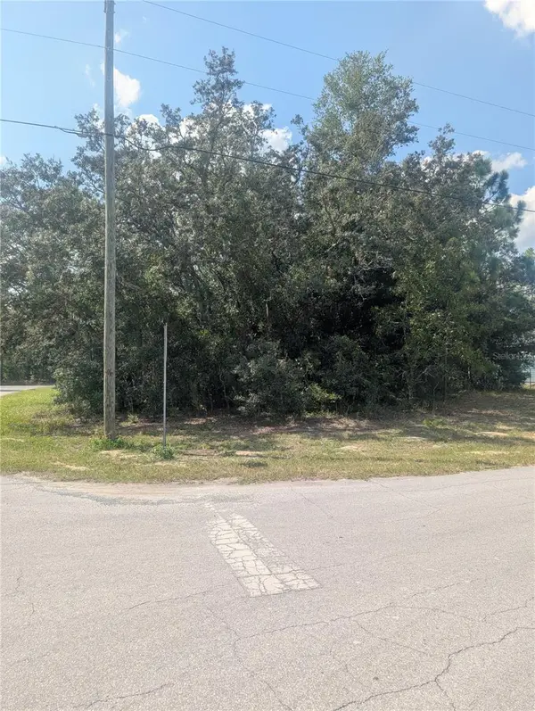 8010 N PRIMROSE DR, Citrus Springs, FL 34434