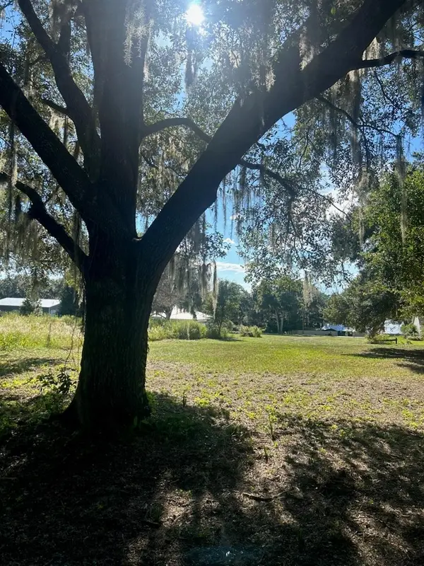 15365 SE 140TH AVENUE RD, Weirsdale, FL 32195
