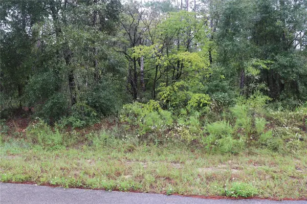 00 NW BEUNA VISTA RD, Dunnellon, FL 34431