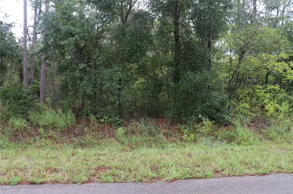 00 NW BEUNA VISTA RD, Dunnellon, FL 34431