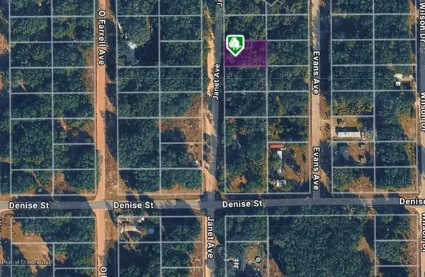 LOT 3 JANET AVE, Interlachen, FL 32148