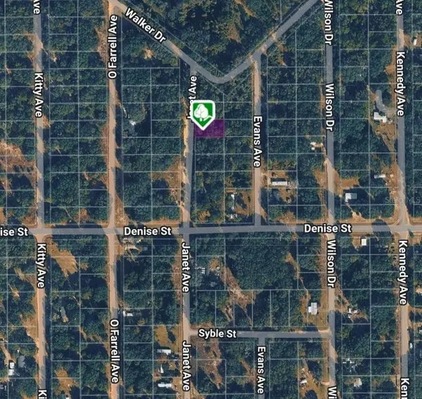 LOT 3 JANET AVE, Interlachen, FL 32148