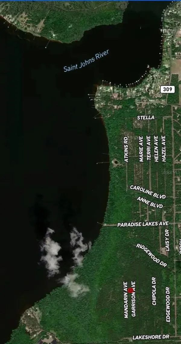 131 GARRISON AVE, Georgetown, FL 32139
