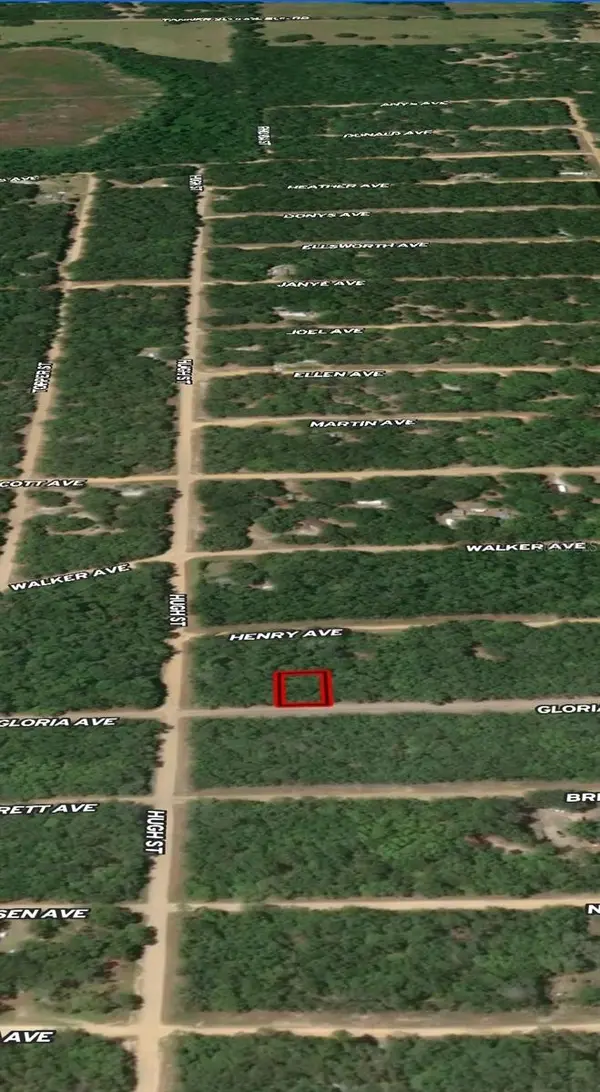 LOT 20 GLORIA AVE, Interlachen, FL 32148