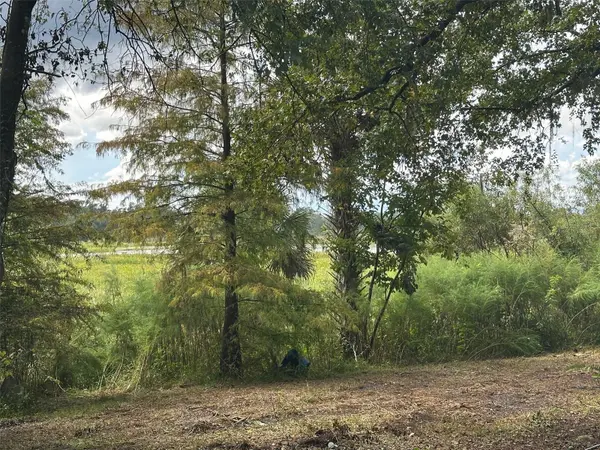 6661 E TURNER CAMP RD, Inverness, FL 34453