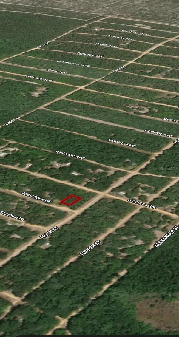LOT 13 MARTIN AVE, Interlachen, FL 32148