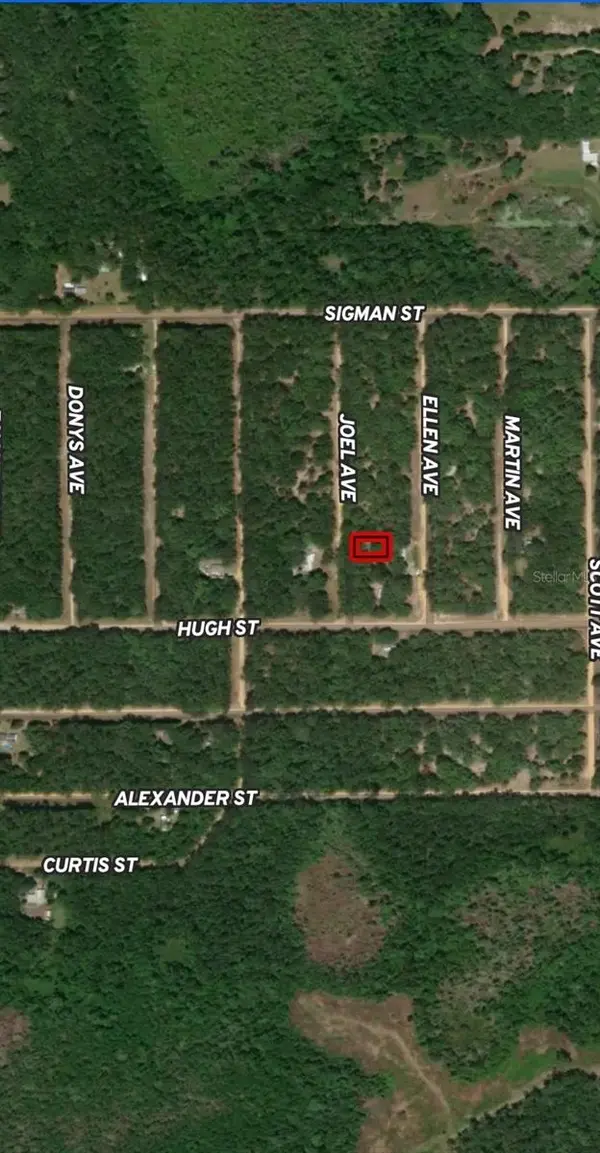 LOT 11 JOEL AVE, Interlachen, FL 32148