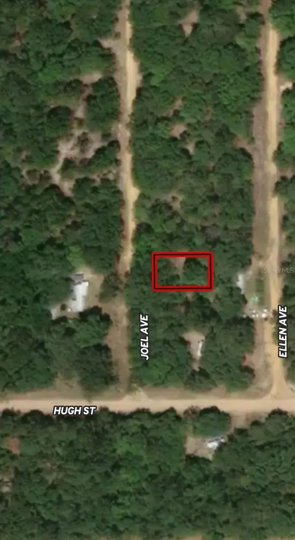 LOT 11 JOEL AVE, Interlachen, FL 32148