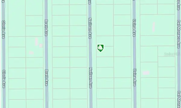 LOT 7 NEILSEN AVE, Interlachen, FL 32148