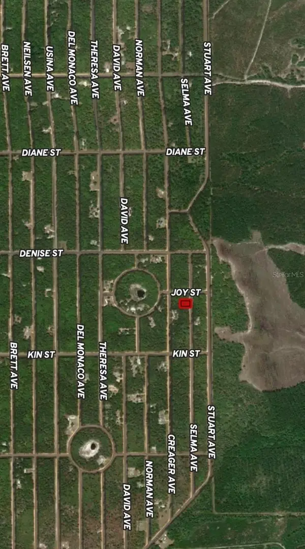 LOT 19 SELMA AVE, Interlachen, FL 32148