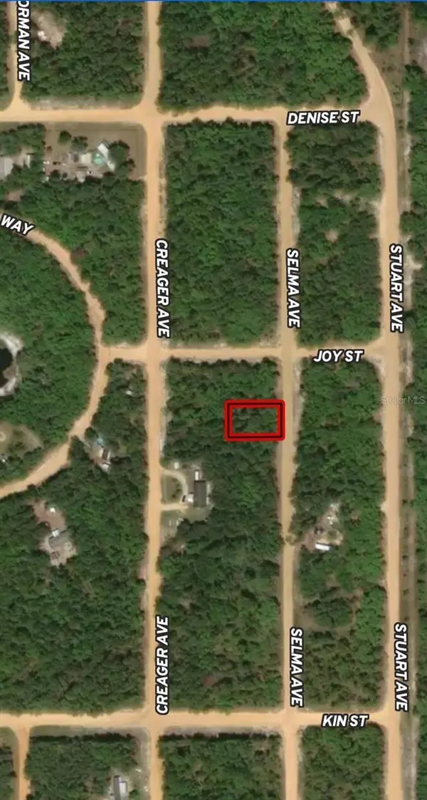 LOT 19 SELMA AVE, Interlachen, FL 32148