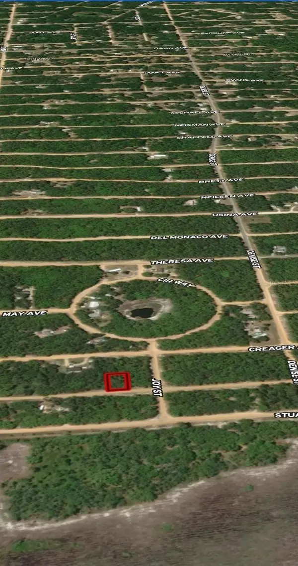 LOT 19 SELMA AVE, Interlachen, FL 32148