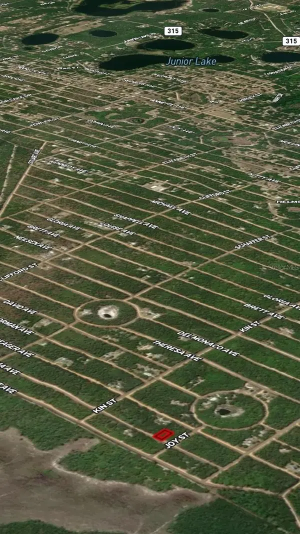 LOT 19 SELMA AVE, Interlachen, FL 32148