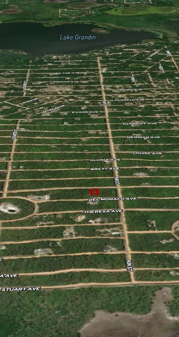 LOT 4 USINA AVE, Interlachen, FL 32148