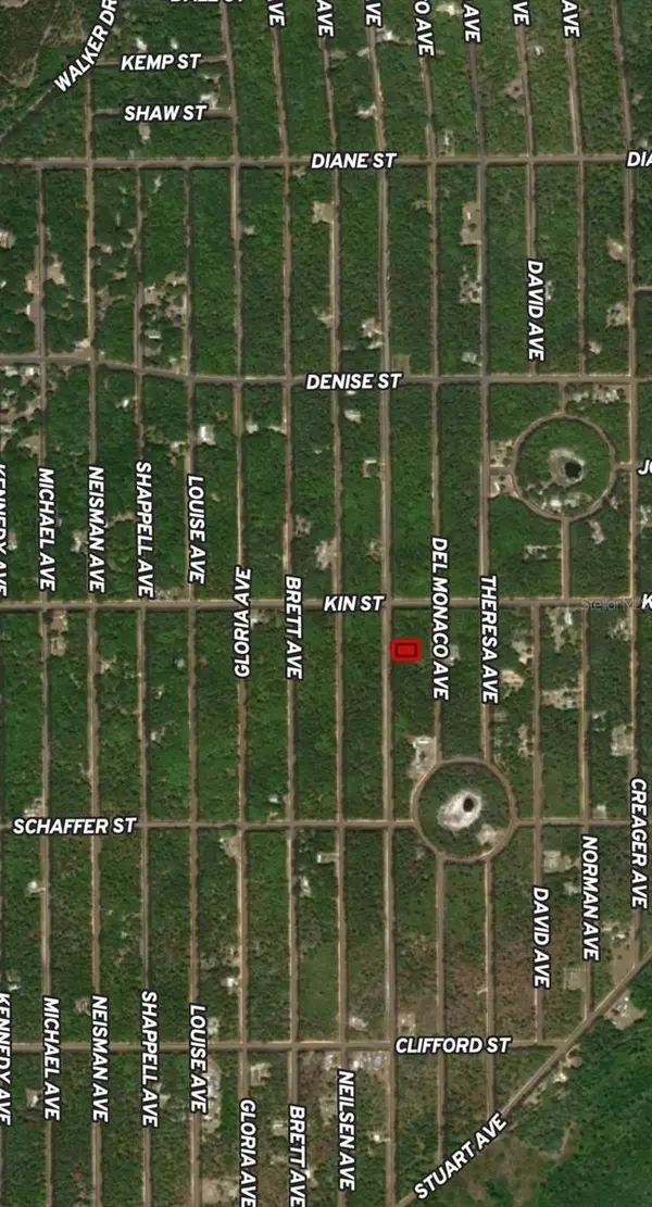 LOT 4 USINA AVE, Interlachen, FL 32148