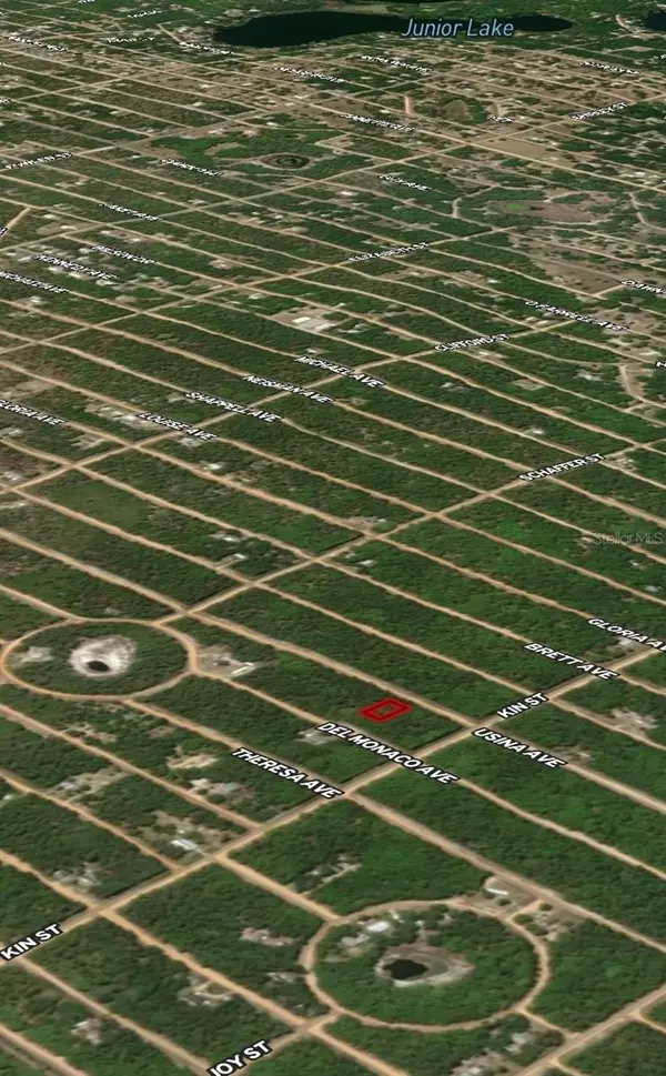 LOT 4 USINA AVE, Interlachen, FL 32148