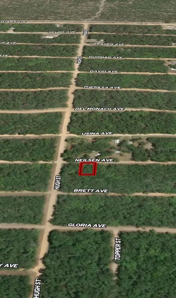 LOT 35 NEILSEN AVE, Interlachen, FL 32148