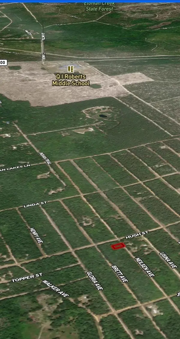 LOT 35 NEILSEN AVE, Interlachen, FL 32148