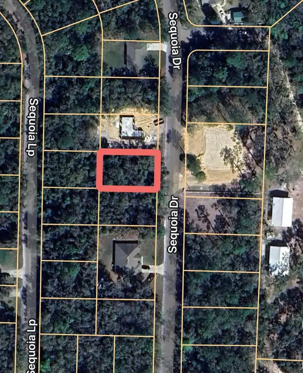 0 SEQUOIA DR, Ocklawaha, FL 32179