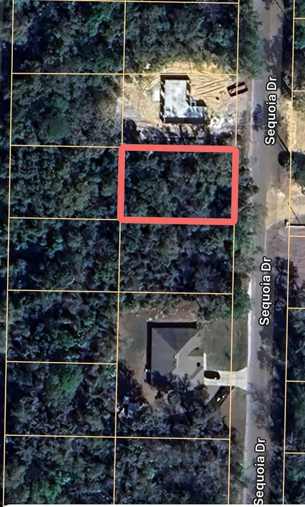 0 SEQUOIA DR, Ocklawaha, FL 32179