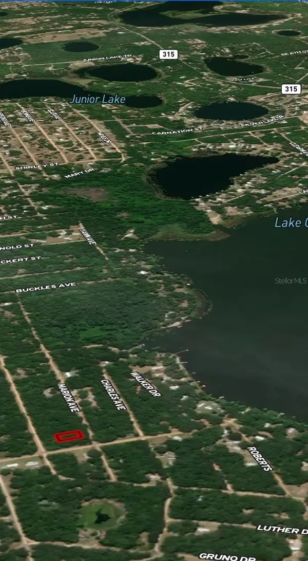 LOT 2 MARION AVE, Interlachen, FL 32148
