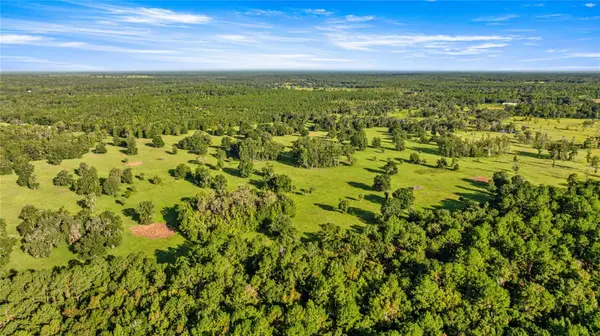 17748 N HWY 329, Reddick, FL 32686