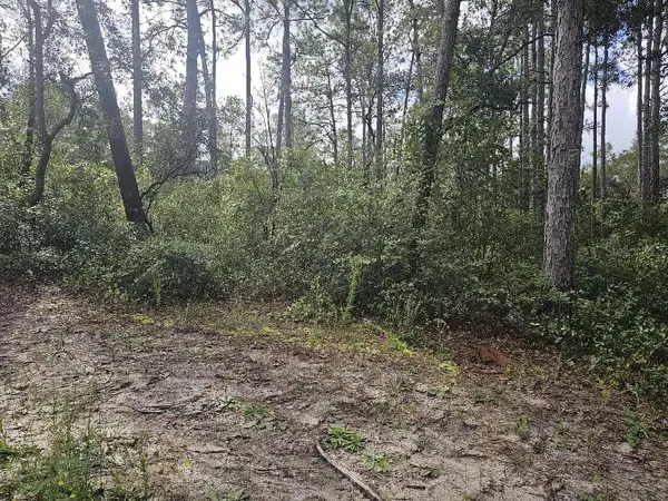 SE 92ND PL, Ocklawaha, FL 32179