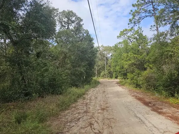 SE 92ND PL, Ocklawaha, FL 32179