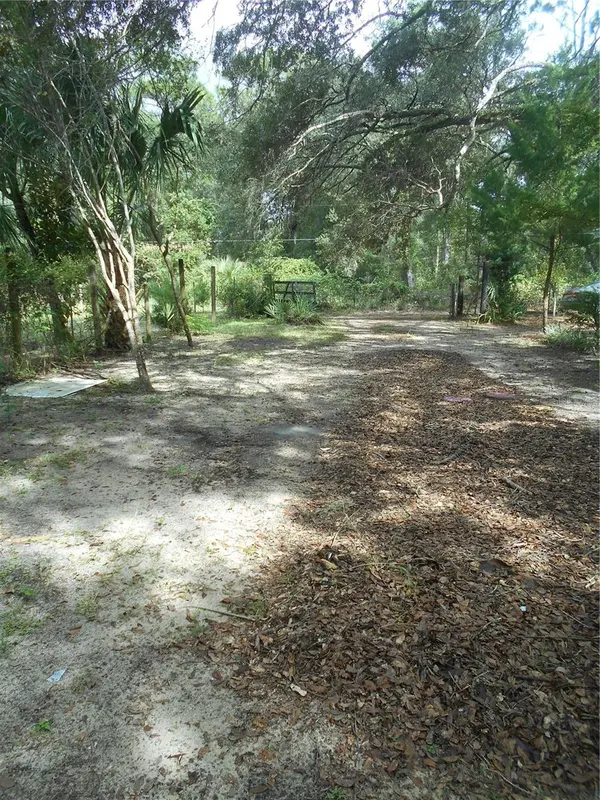 20425 NE 143RD ST, Salt Springs, FL 32134