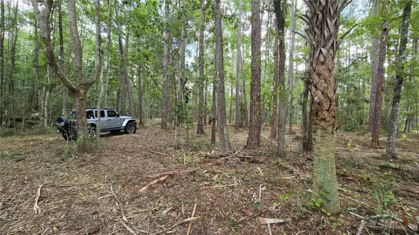 00 E HIGHWAY 316, Fort Mc Coy, FL 32134
