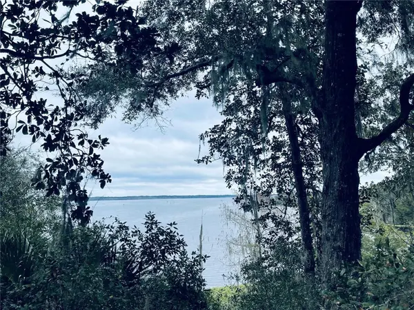 TBD NE 245TH STREET ROAD, Fort Mc Coy, FL 32134