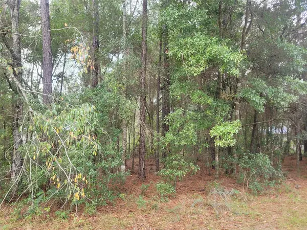 9858 N JOURDEN DR, Citrus Springs, FL 34434