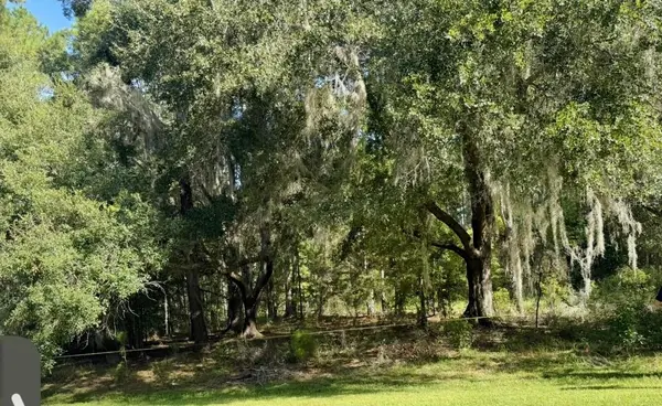 NW 148TH LN, Williston, FL 32696