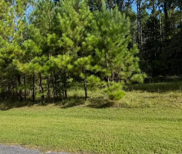 NW 148TH LN, Williston, FL 32696