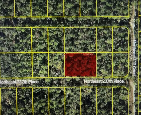 TBD NE 237TH PL, Fort Mc Coy, FL 32134