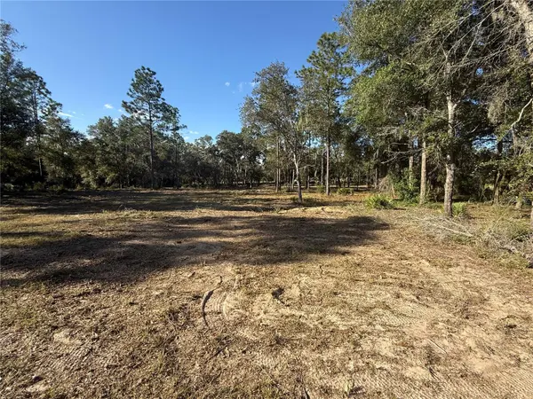 11491 NE 109TH PL, Archer, FL 32618