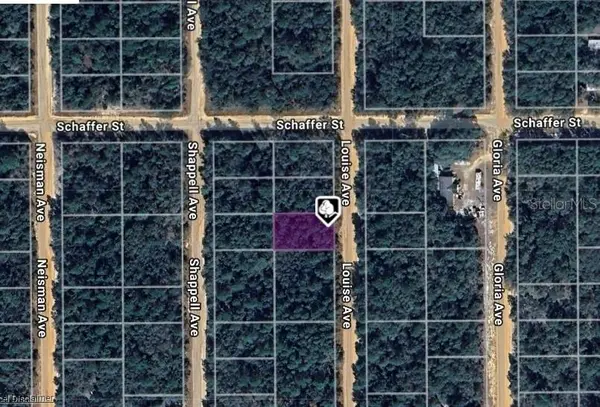 LOT 22 LOUISE AVE, Interlachen, FL 32148