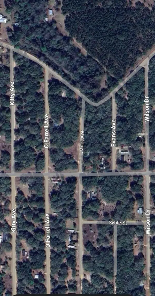 LOT 3 NEISMAN AVE, Interlachen, FL 32148