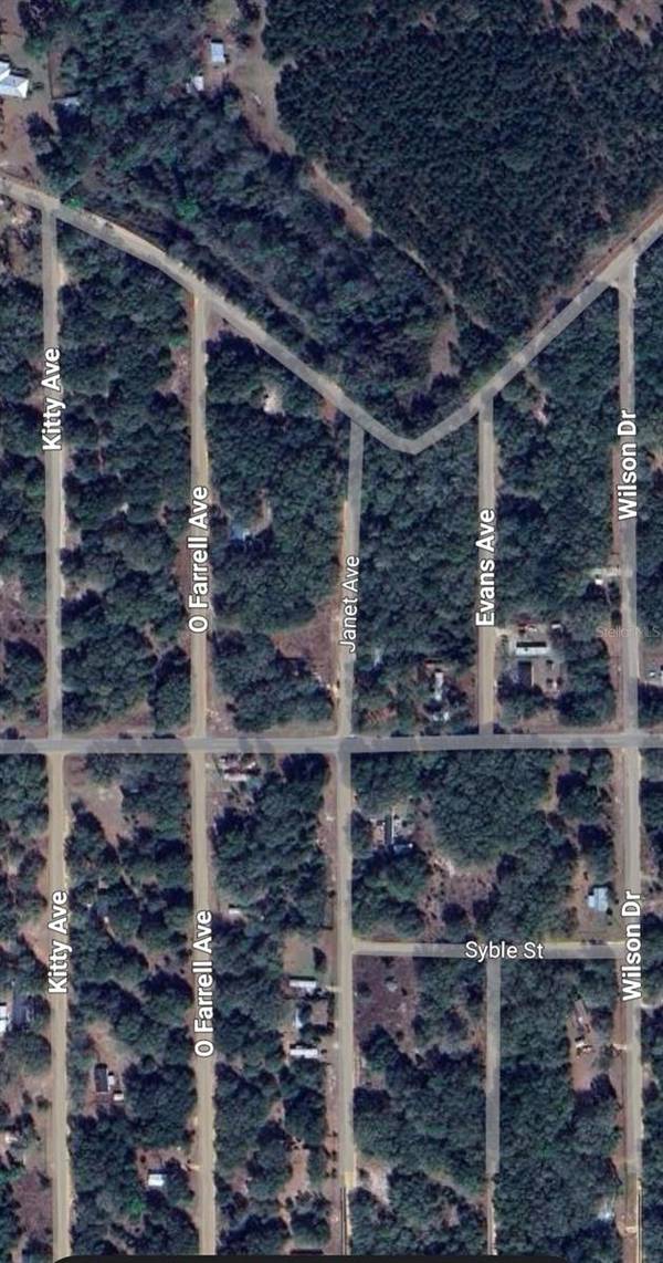 LOT 3 NEISMAN AVE, Interlachen, FL 32148