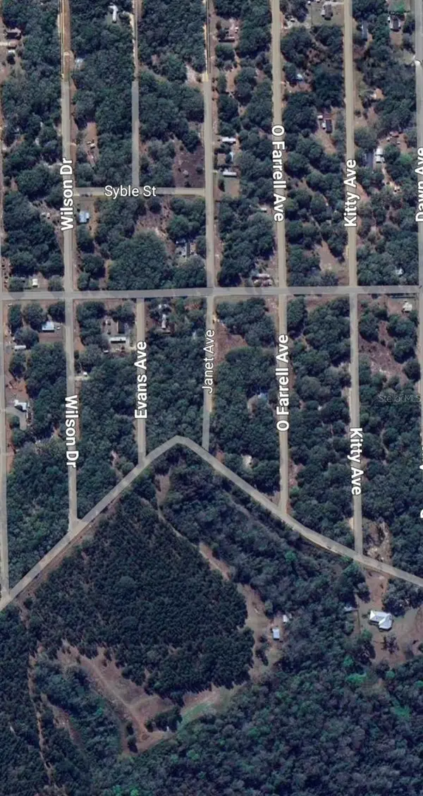 LOT 3 NEISMAN AVE, Interlachen, FL 32148
