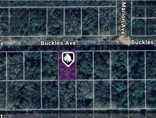 LOT 8 BUCKLES AVE, Interlachen, FL 32148