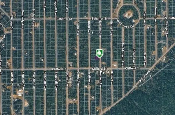 LOT 22 NEILSEN AVE, Interlachen, FL 32148