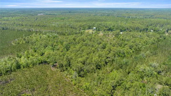 1351 SW STATE ROAD 24, Chiefland, FL 32626