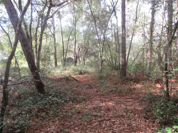 NE 171ST CT, Silver Springs, FL 34488